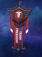 Team Freedom 2018 Warbanner